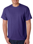 Gildan 8000 purple colored t-shirts.